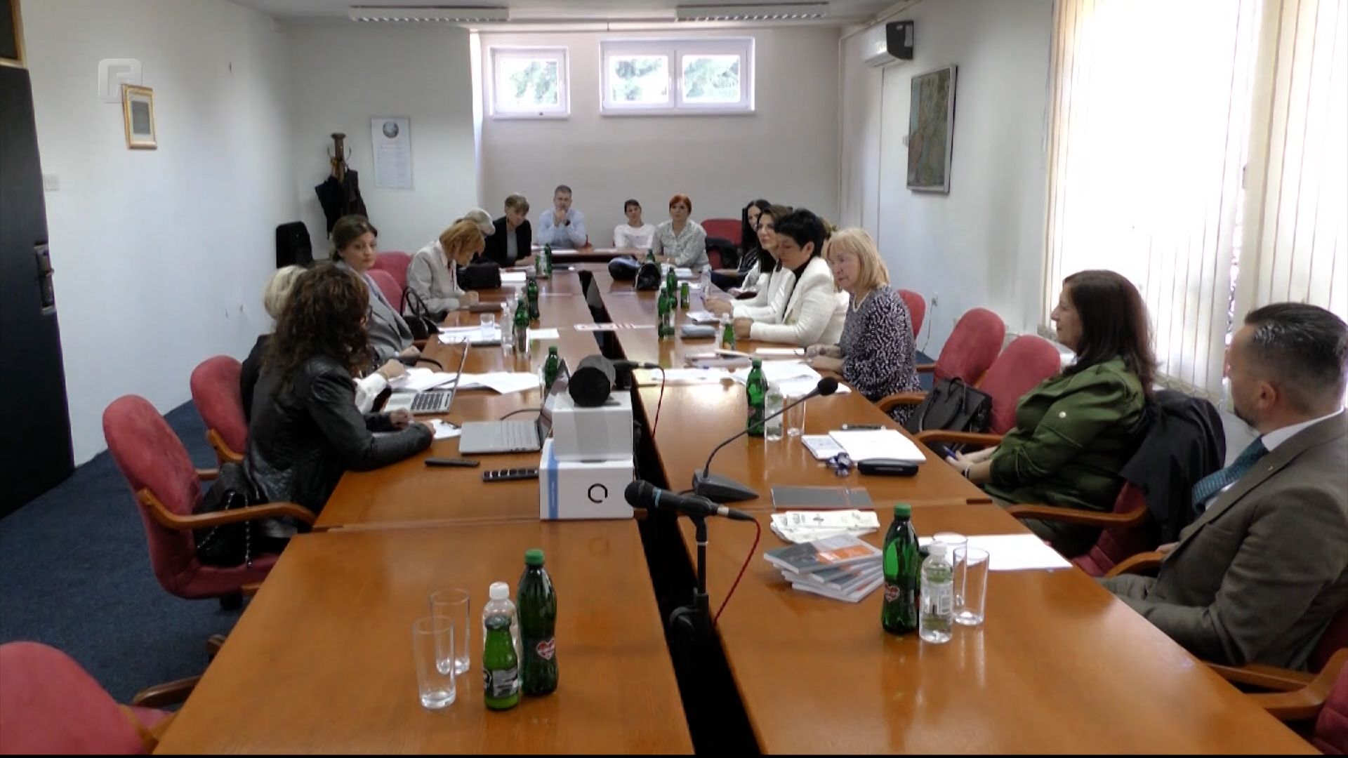TK: Postoji Akcioni plan za borbu protiv nasilja u porodici, ali kao da se ne provodi kako treba